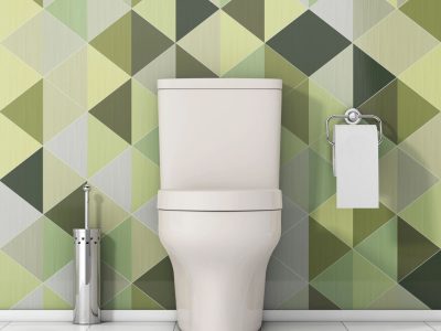 Big Jake's Plumbing Tacoma Toilet installation and repair