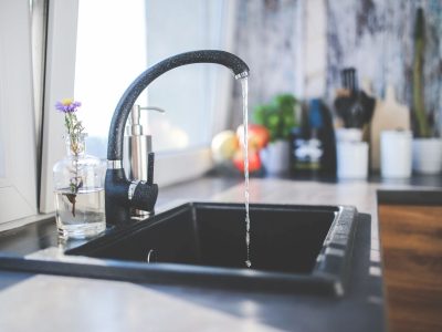 Sink and Garbage Disposal